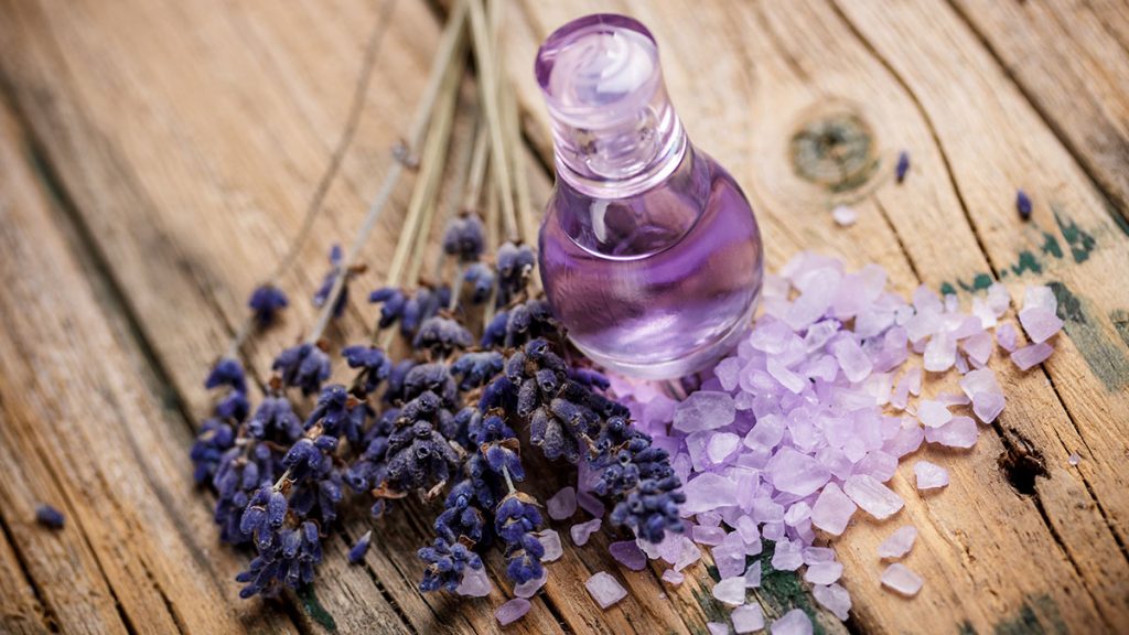 Purple sleeping scents and herbs standing on a table.